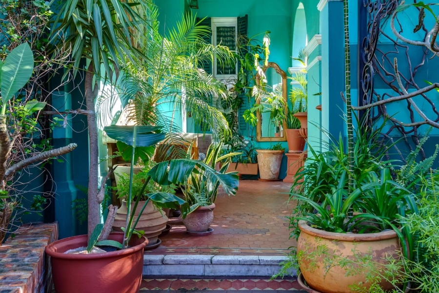 5 Bedroom Property for Sale in Gardens Western Cape